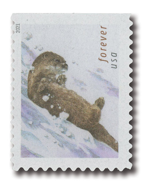 5649  - 2021 First-Class Forever Stamps - Otters in Snow: Otter, Tail at Right