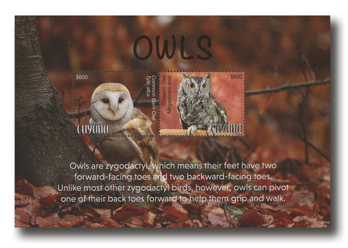 MFN317  - 2020 $600 Owls: Common Barn Owl, Mint Souvenir Sheet of 2, Guyana