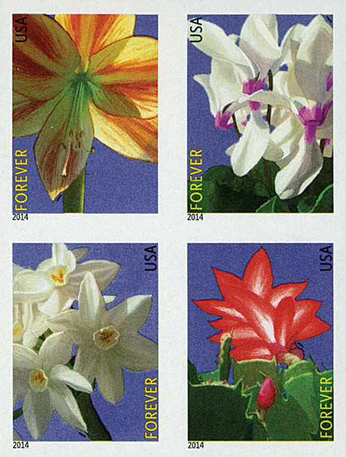 4862-65c  - 2014 First-Class Forever Stamp - Imperforate Winter Flowers