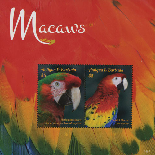 M11584  - 2014 $5 Harlequin Macaws, Mint Souvenir Sheet, Antigua & Barbuda
