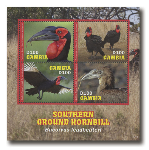 MFN313  - 2020 D100 Southern Ground Hornbill, Mint Sheet of 4, Gambia