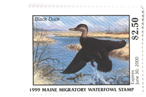 SDME16  - 1999 Maine State Duck Stamp