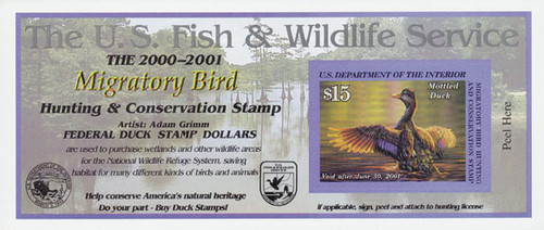 RW67A  - 2000 $15 Federal Duck Stamp - Mottled Duck, s/a