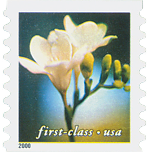 3462  - 2000 34c Flowers: Freesia, non-denominational coil