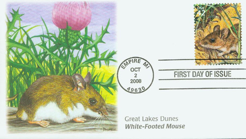 4352h  - 2008 42c White-footed Mouse