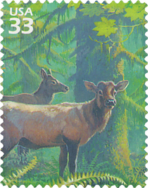 3378e  - 2000 33c Pacific Coast Rain Forest: Roosevelt Elk