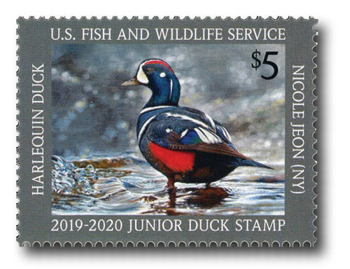 JDS27  - 2019 $5 Harlequin Junior Duck Stamp