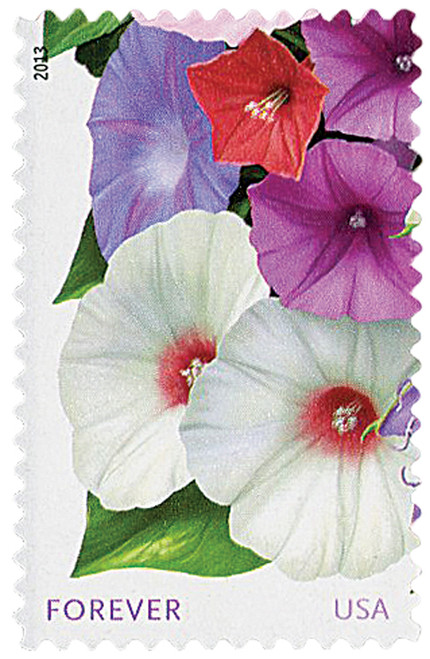 4752  - 2013 First-Class Forever Stamp - La Florida: White and Purple Morning Glories, "Forever" in lower left corner