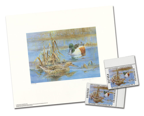 38488  - 1996 Denmark Duck Shovelers Unframed Signed Print