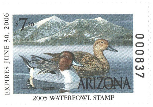 SDAZ19  - 2005 Arizona State Duck Stamp