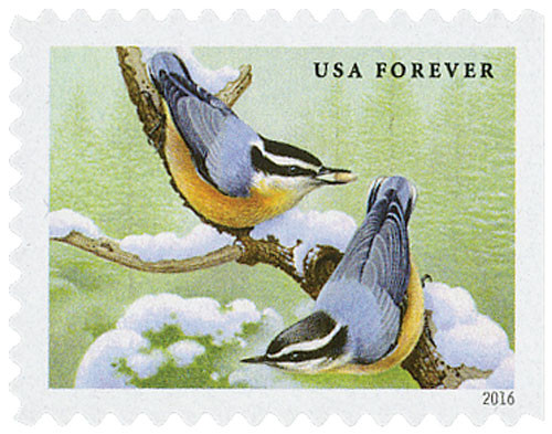 5129  - 2016 First-Class Forever Stamp - Songbirds in Snow: Red-Breasted Nuthatches