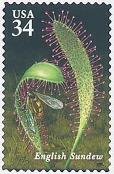 3531  - 2001 34c Carnivorous Plants: English Sundew