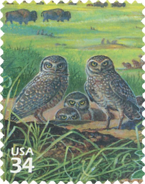 3506b  - 2001 34c Great Plains Prairie: Burrowing Owls and Buffalo grass