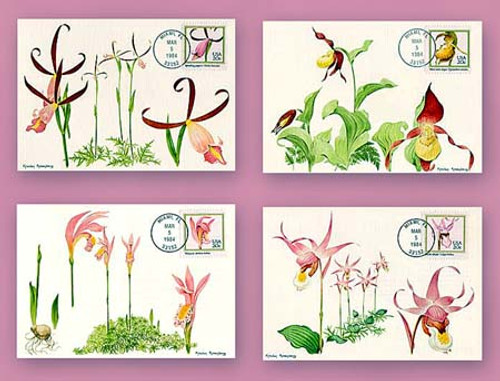 7508255  - 1996 Orchid Maximum Card Set/4