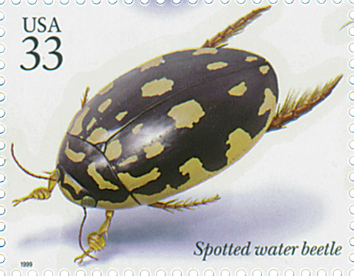 3351o  - 1999 33c Insects and Spiders: Spotted Water Beetle