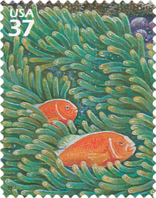 3831f  - 2004 37c Pacific Coral Reef: Pink Skunk Clownfish