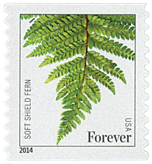 4973  - 2015 First-Class Forever Stamp - Ferns (with microprinting): Soft Shield Fern