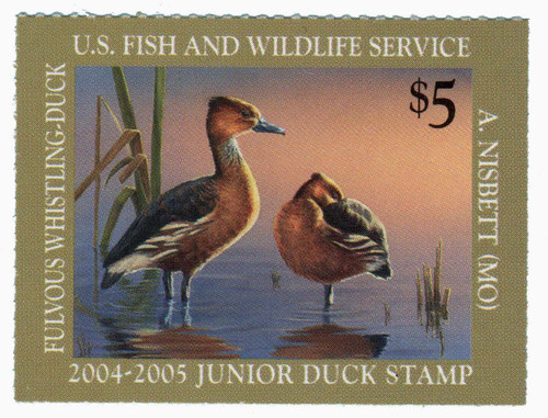 JDS12 - 2004 $5 State Hunting Permit - Fulvous Whistling Junior Duck St