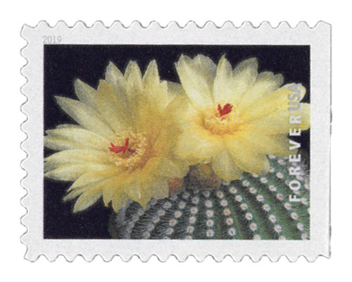 5359 - 2019 First-Class Forever Stamp - Cactus Flower: Parodia scopa