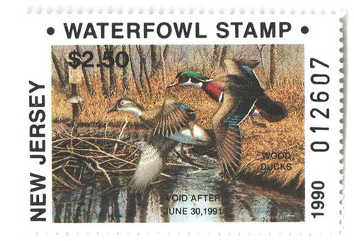 SDNJ13  - 1990 New Jersey State Duck Stamp