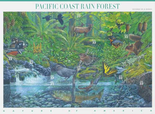 3378  - 2000 33c Nature of America: Pacific Coast Rain Forest