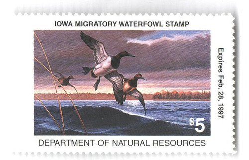 SDIA25  - 1996 Iowa State Duck Stamp