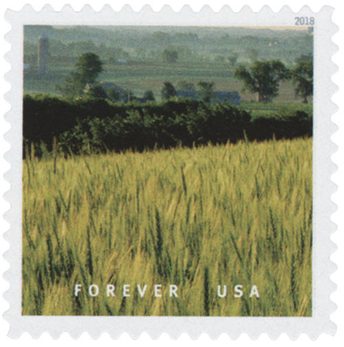 5298e  - 2018 First-Class Forever Stamp - Field of Wheat in Wisconsin