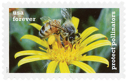 5229  - 2017 First-Class Forever Stamp - Protect Pollinators: Western Honeybee on a Yellow Ragwort