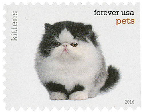 5111  - 2016 First-Class Forever Stamp - Pets: Kittens