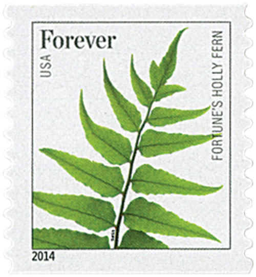 4977  - 2015 First-Class Forever Stamp - Ferns (with microprinting): Fortune's Holly Fern