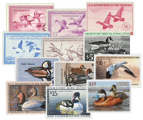 M11618  - 1935-2015 Duck Hunting Permit Stamps(45)