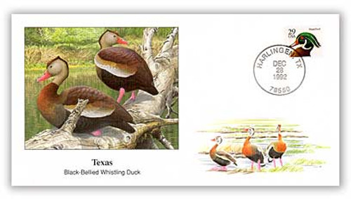 41249A  - 1993 Texas Black-bellied Whistling Duck Cover