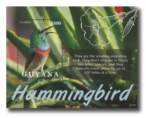 MFN388  - 2021 $800 Hummingbird with Colorful Head, Mint Souvenir Sheet, Guyana