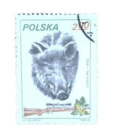 2451  - 1981 Poland