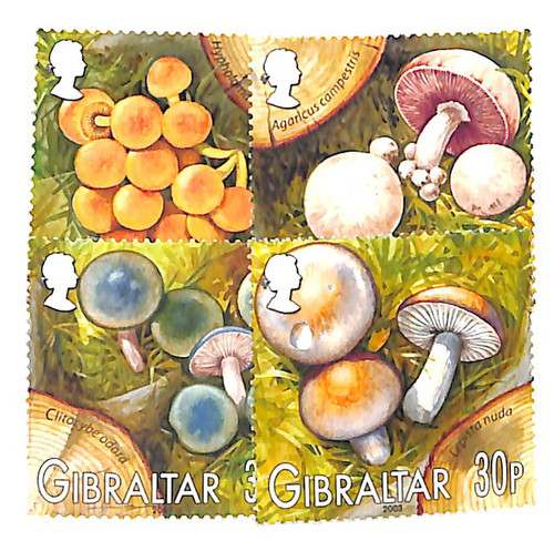 950-53 - 2003 Gibraltar