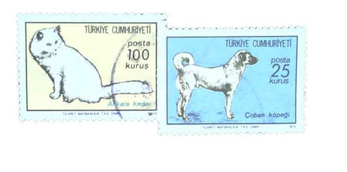 1953-54 - 1973 Turkey