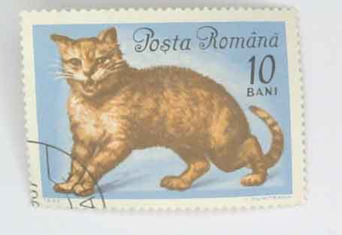 1730  - 1965 Romania