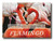 MFN544  - 2021 $8 Flamingos, Mint Souvenir Sheet, Canouan