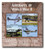 MFN565  - 2022 $5.50 Aircrafts of World War II, Mint Sheet of 4, Antigua