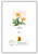 55843 FDC - 1991 Nonden. Flower 29c Sheet Proofcard