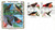 3222-25 FDC - 1998 32c Tropical Birds