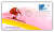 3995 FDC - 2006 39c Winter Olympic Games