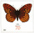 4859a FDC - 2014 70c Imperf Grt Spangled Fritillary