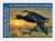 RW69 PB - 2002 $15.00 Federal Duck Stamp - Black Scoter