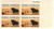 1504 PB - 1973 8c Rural America: Angus Cattle