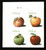 4727-30b PB - 2013 33c Imperf Apples