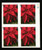 4816d PB - 2013 First-Class Forever Stamp - Imperforate Poinsettia (Sennett Security Products)