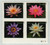 4964-67c PB - 2015 First-Class Forever Stamp - Imperforate Water Lilies