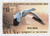 RW55 FDC - 1988 $10.00 Federal Duck Stamp - Snow Goose