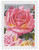 5047  - 2016 First-Class Forever Stamp - Botanical Art: Roses